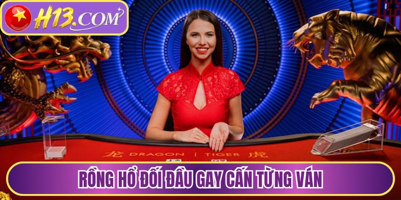 Rồng hổ đối đầu gay cấn từng ván