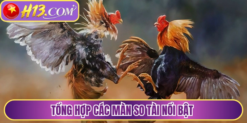 Tổng hợp các màn so tài nổi bật 
