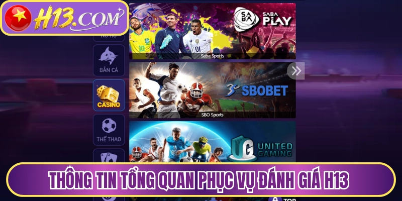 Thông tin tổng quan phục vụ đánh giá H13 