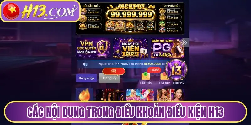Các nội dung trong điều khoản điều kiện H13