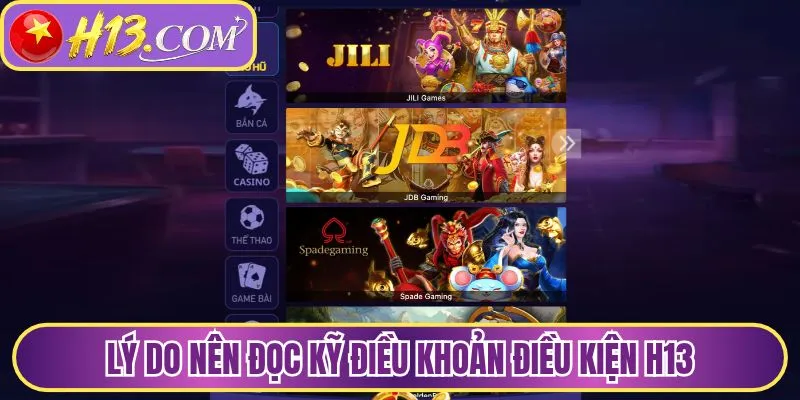 Lý do nên đọc kỹ các quy định trong điều khoản điều kiện H13