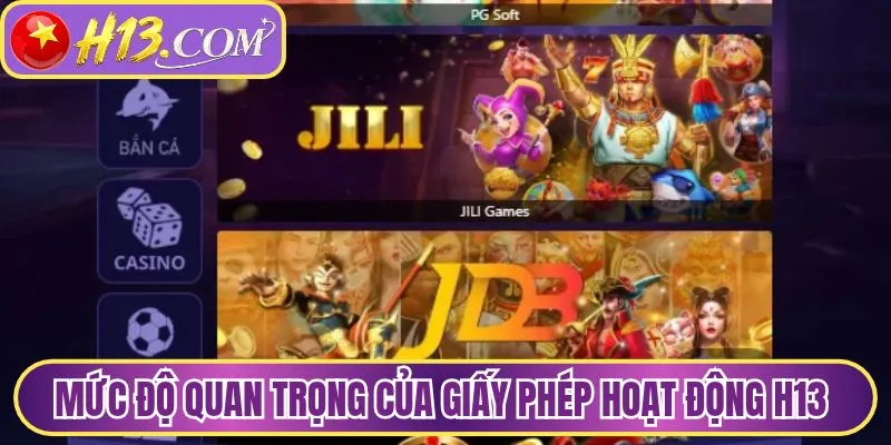 Mức độ quan trọng của giấy phép hoạt động H13
