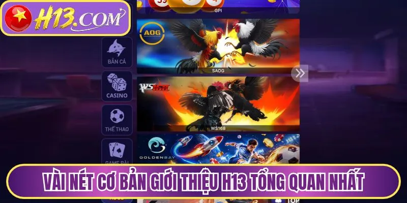 Vài nét cơ bản giới thiệu H13 tổng quan nhất