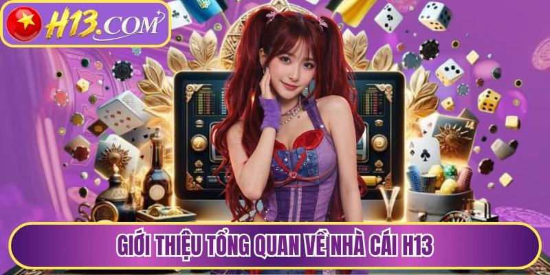 Giới thiệu tổng quan về H13